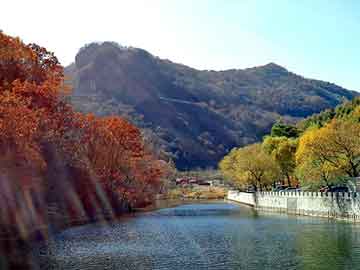 新澳天天开奖资料大全旅游团，吊死鬼